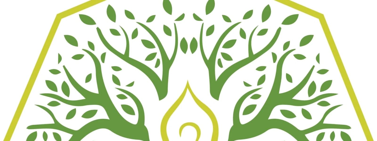 Choices In Wellness PLLC cover
