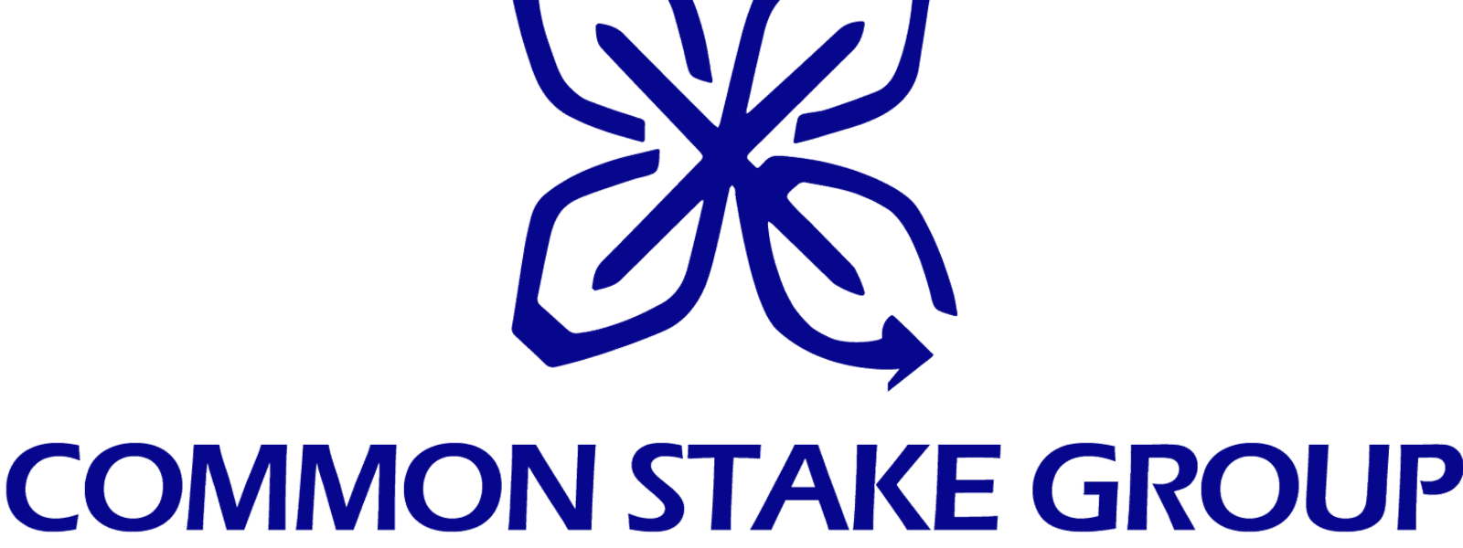COMMON STAKE GROUP INC cover