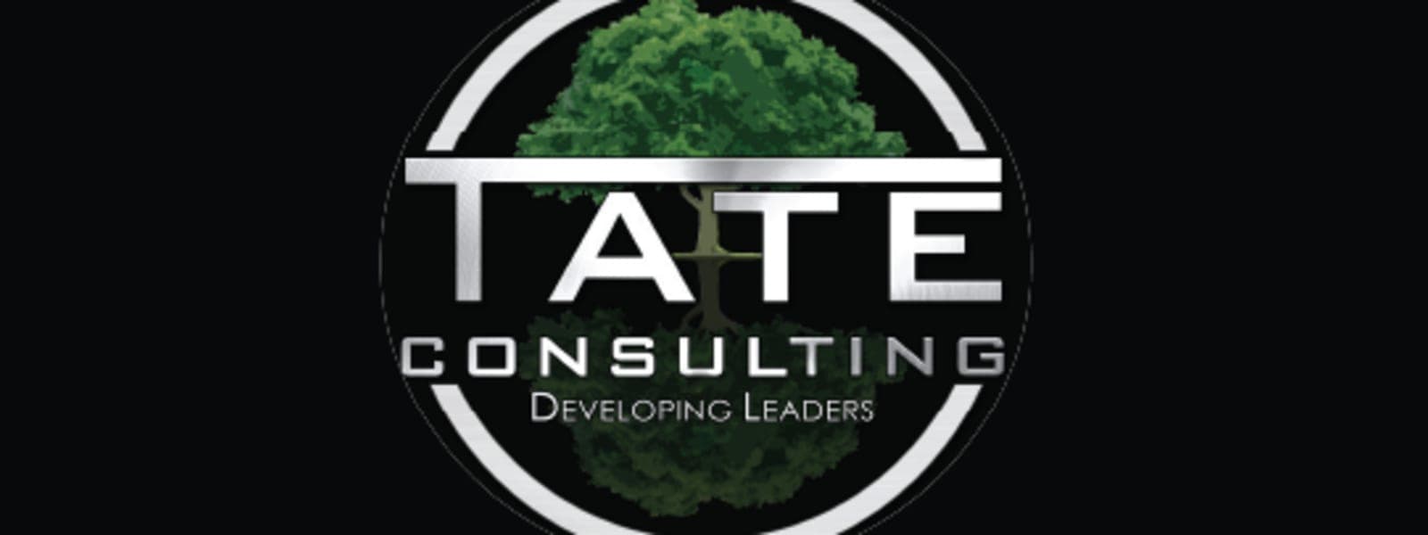 TATE CONSULTING TC LLC cover
