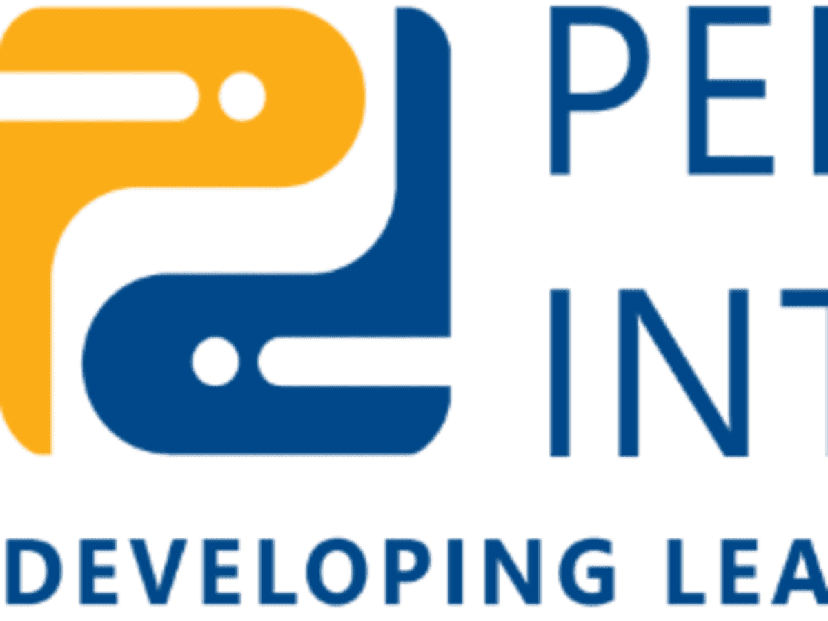 PROFESSIONAL PROTECTION, INCORPORATED cover