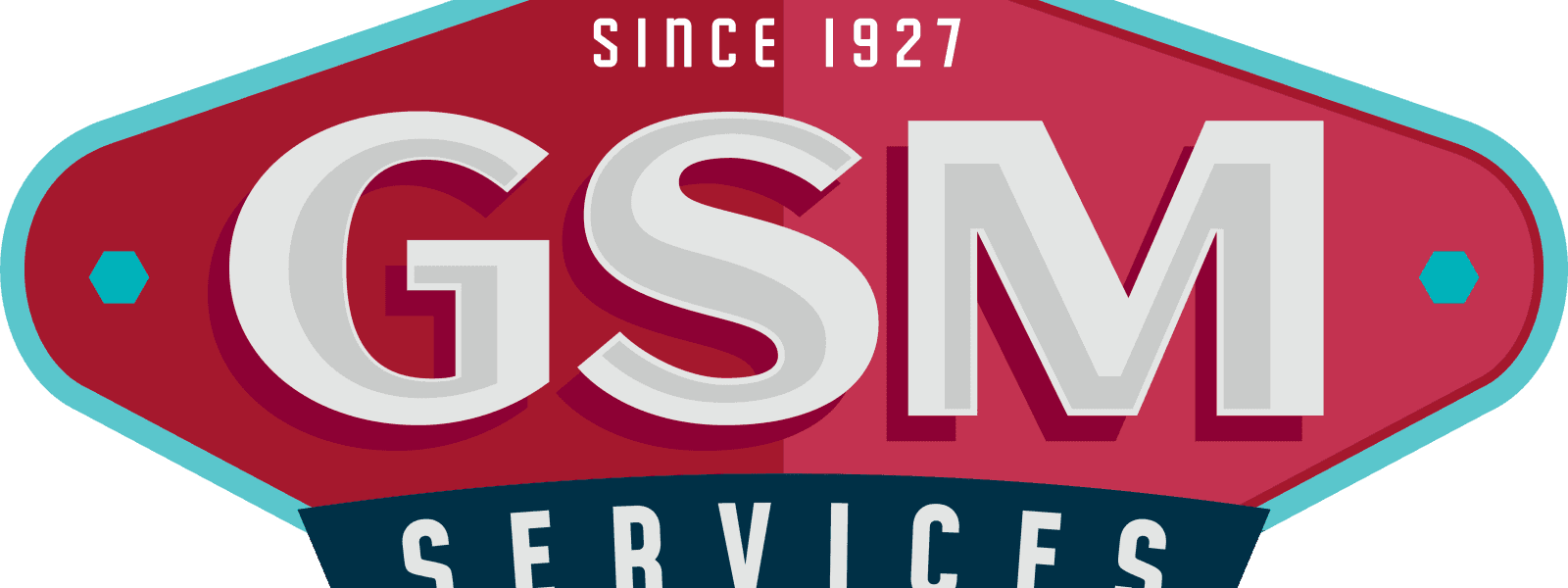 GSM Services cover