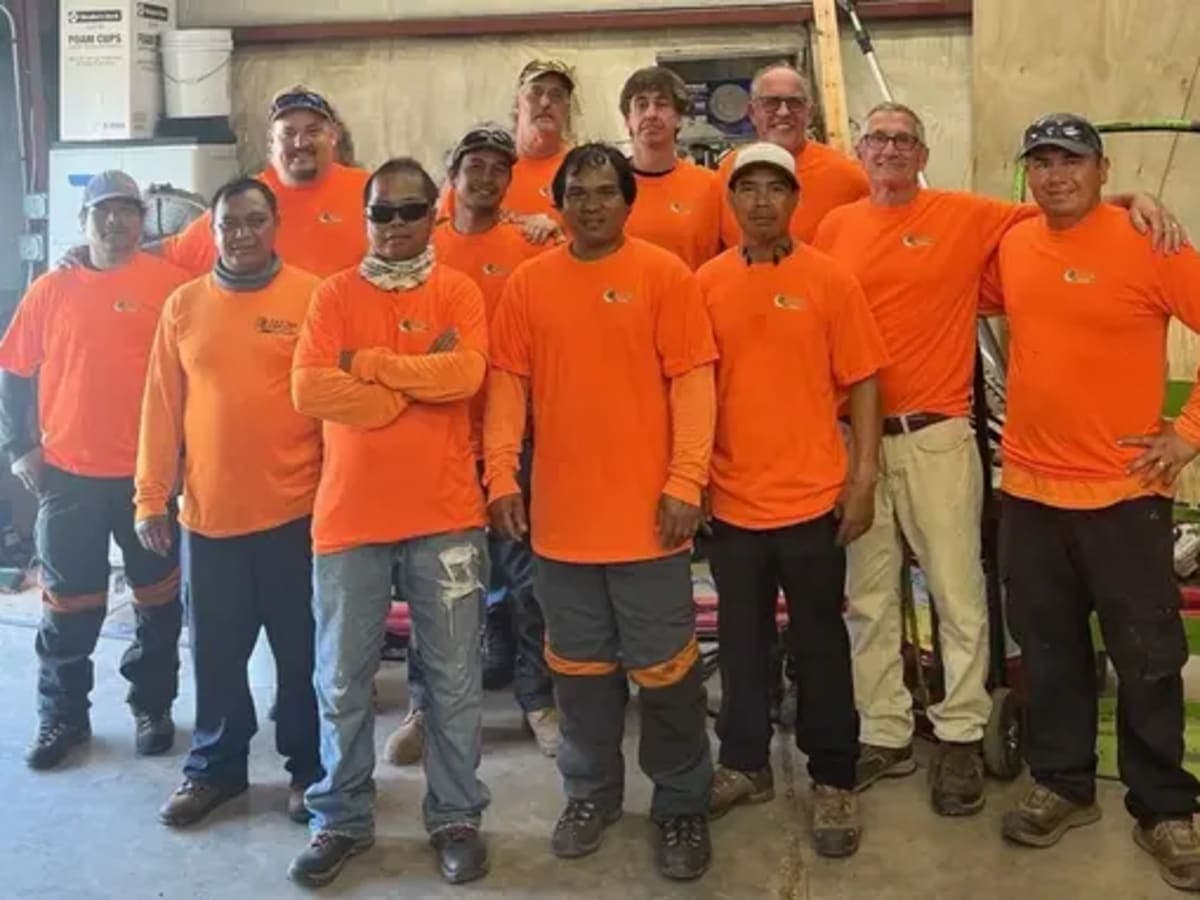 AAA Tree Experts cover