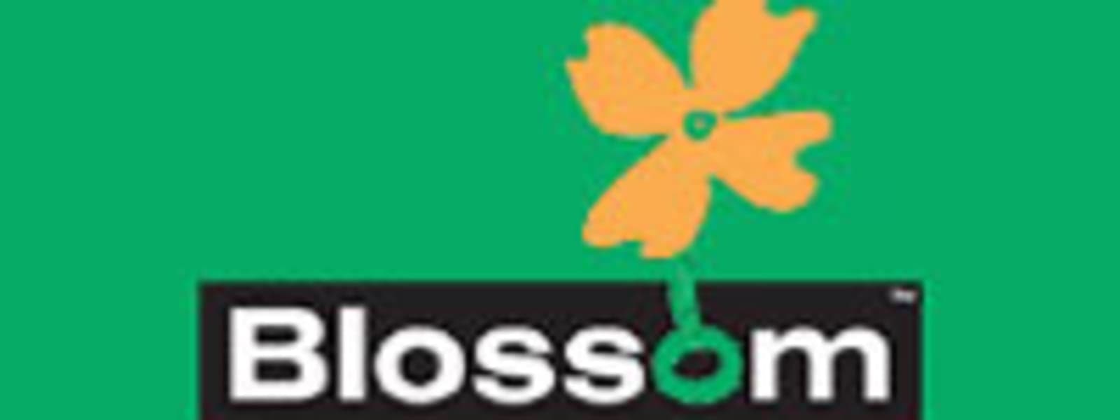 Blossom Law PLLC cover