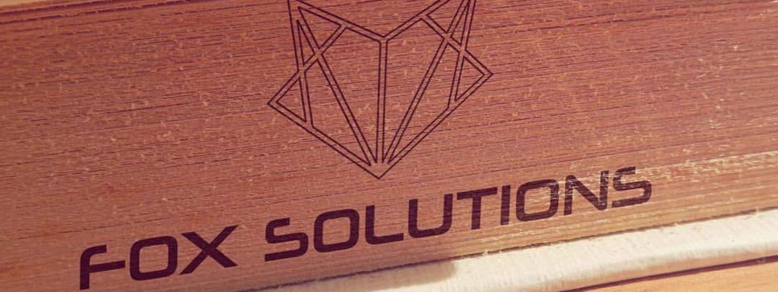 FOX SOLUTIONS TECH L.L.C. cover
